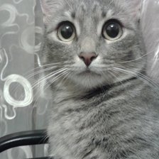 Схема вышивки «НАША ДЫМКА»