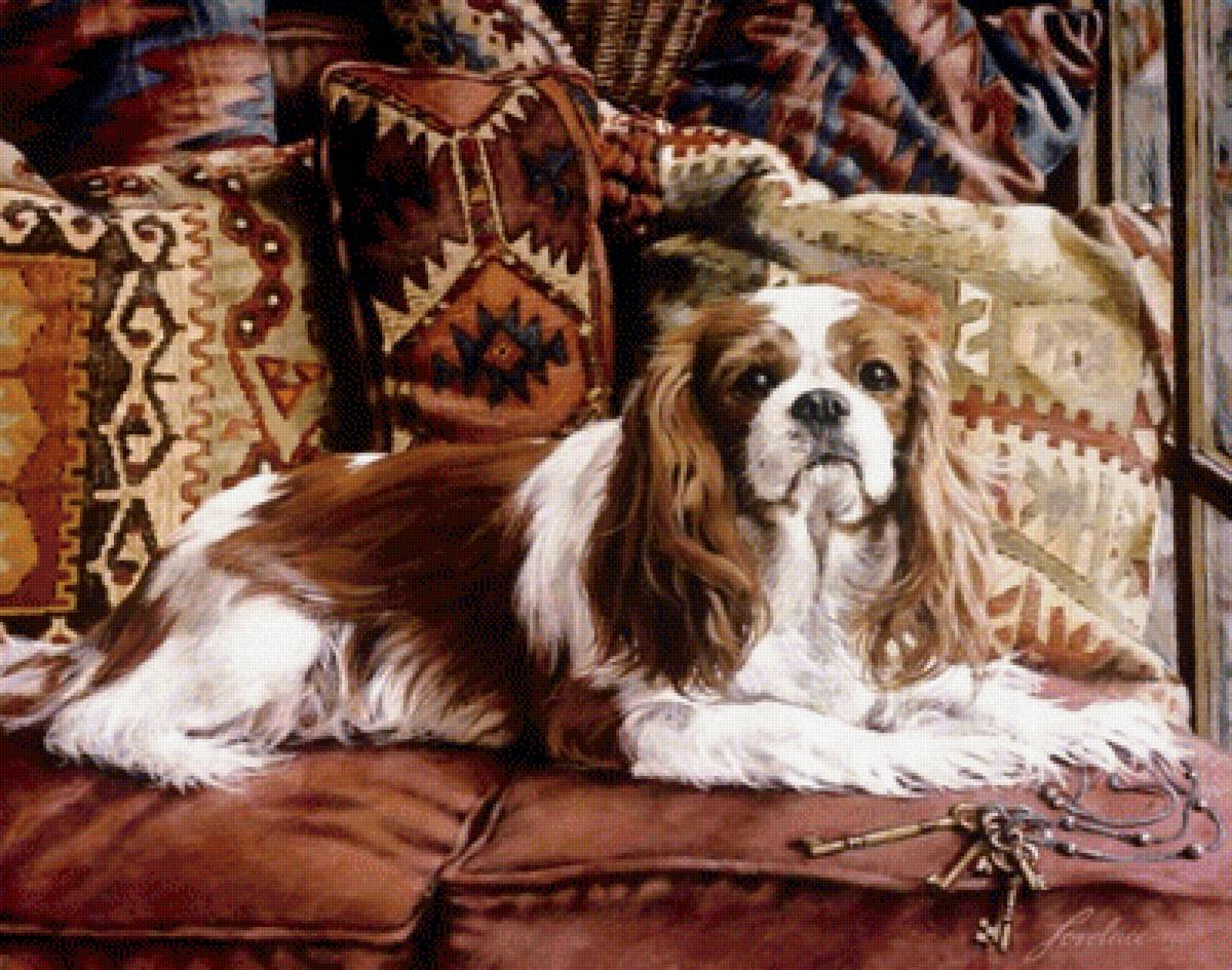 №1487223 - собака - предпросмотр