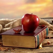 Схема вышивки «№1487275»