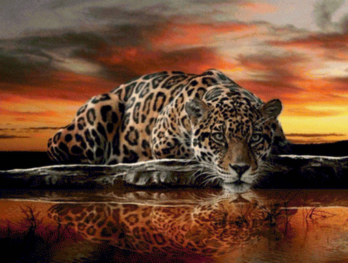 ДИКАЯ КОШКА - дикие животные, вода, природа - предпросмотр