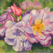 Схема вышивки «РОЗЫ»