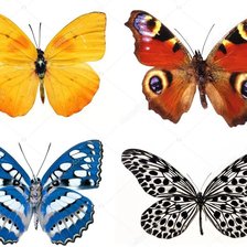 Схема вышивки «БАБОЧКИ 2»