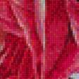 Предпросмотр схемы вышивки «розы» (№1487889)