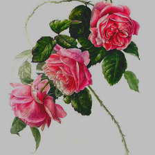 Оригинал схемы вышивки «розы» (№1487889)