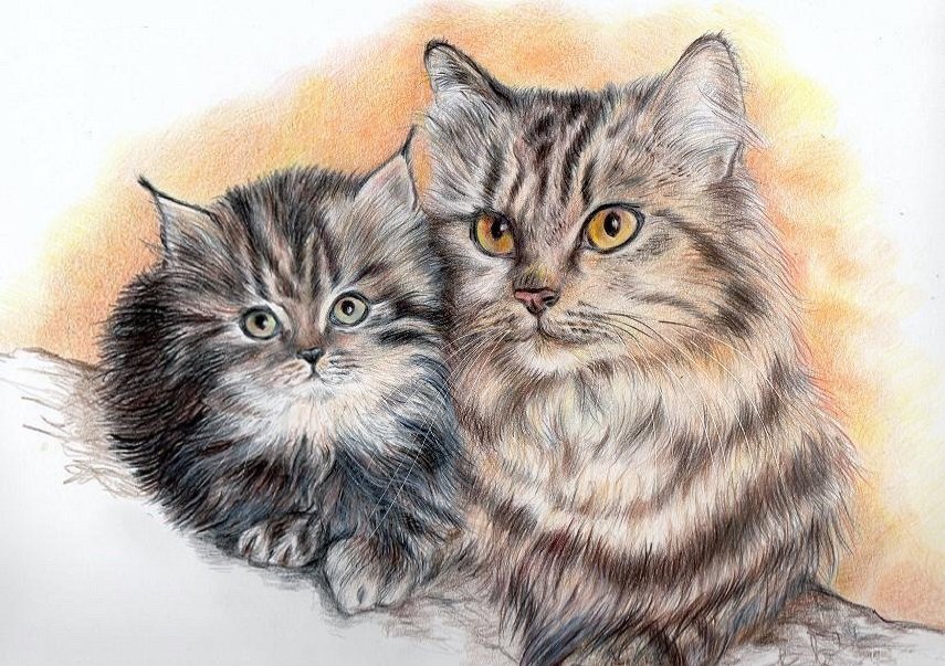 с котенком - оригинал