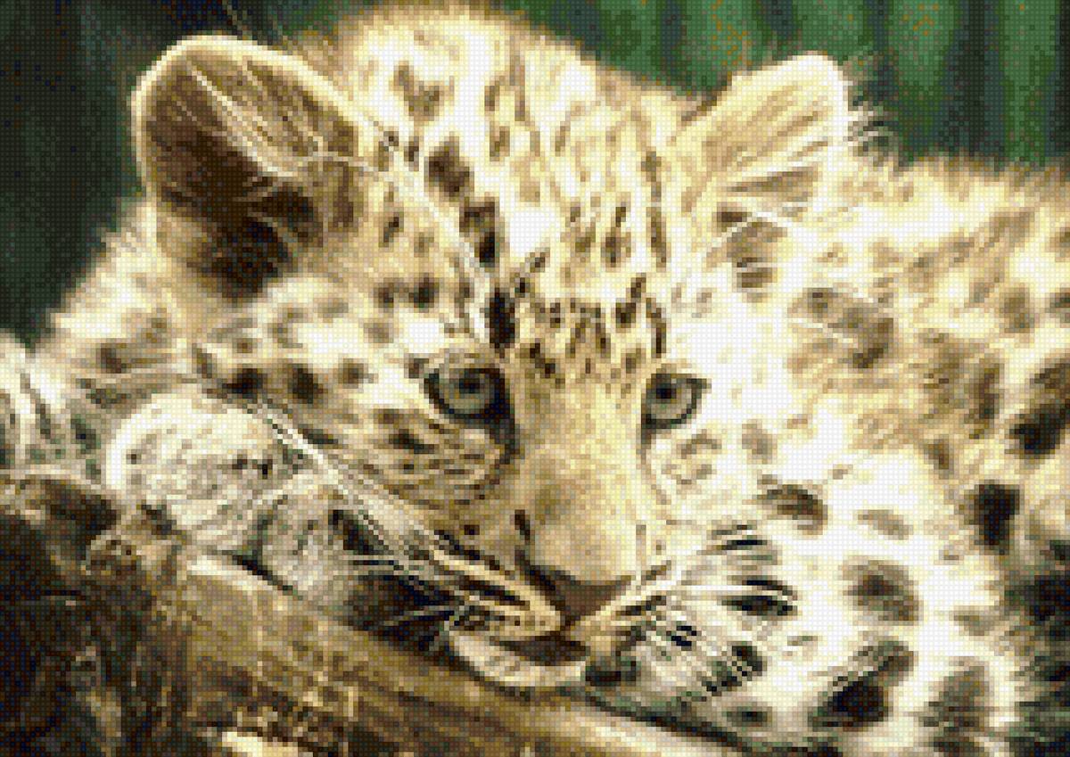 котенок - предпросмотр