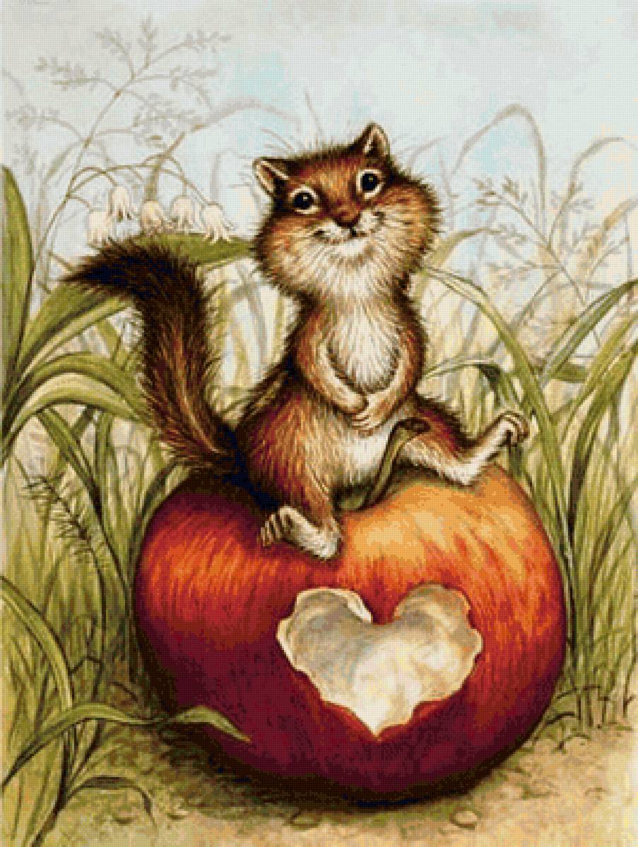 Apple of My Heart - предпросмотр