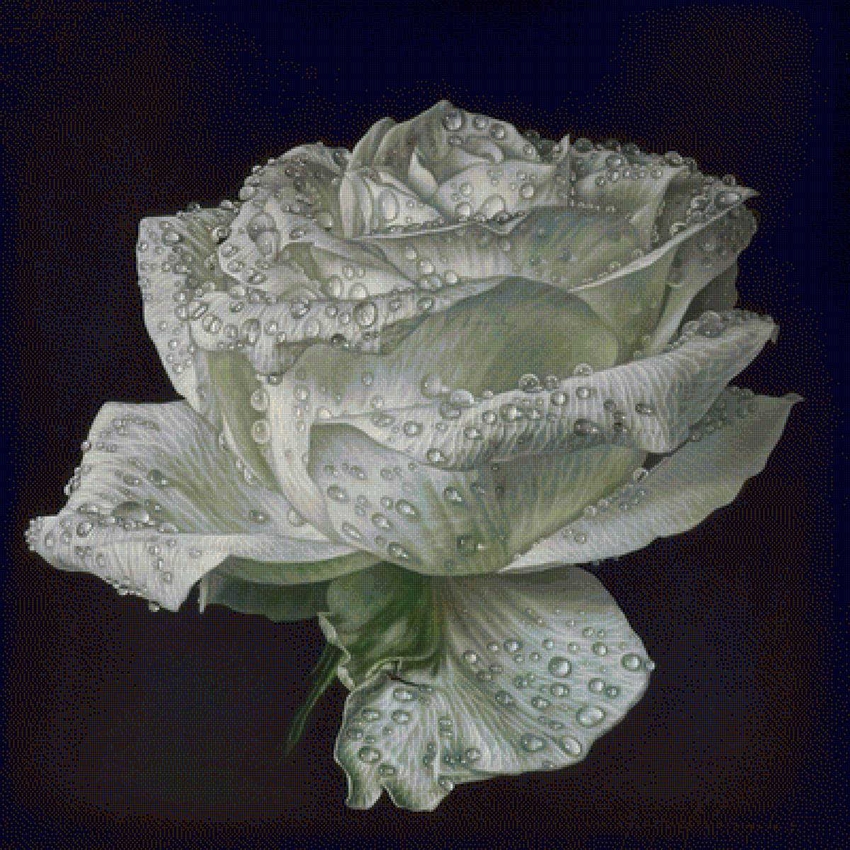 №1488527 - предпросмотр