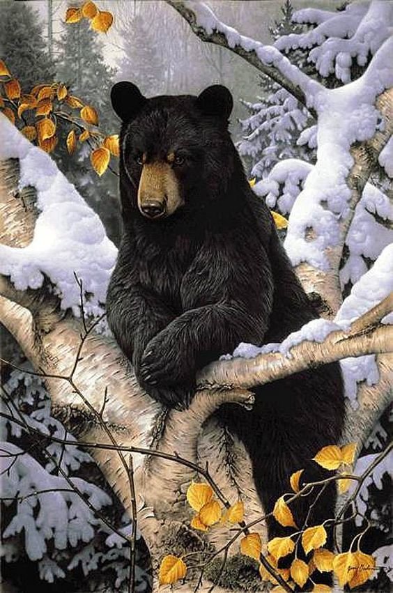 мишка косолапый - животные, лес, зима, медведь, природа - оригинал