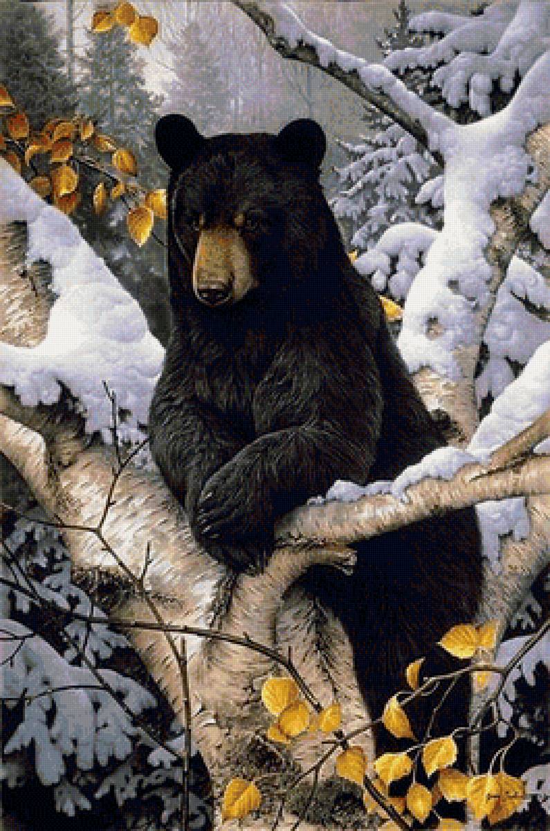мишка косолапый - лес, животные, природа, медведь, зима - предпросмотр