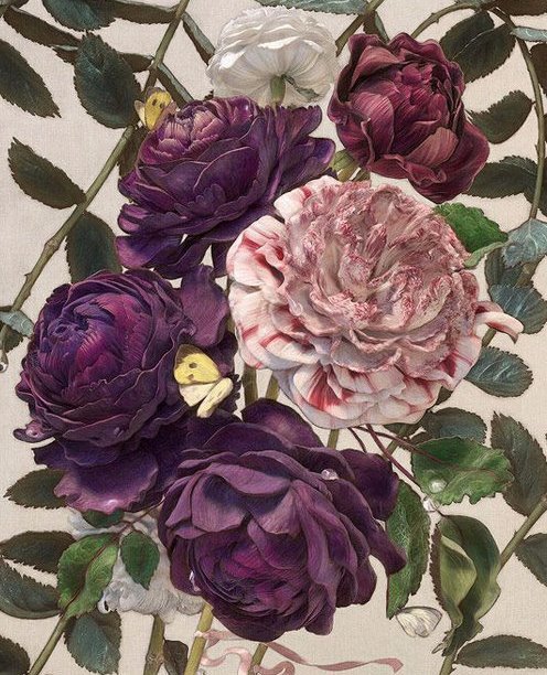 розы - оригинал