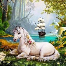 Мир животных