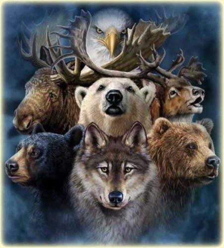 звери - звери - оригинал