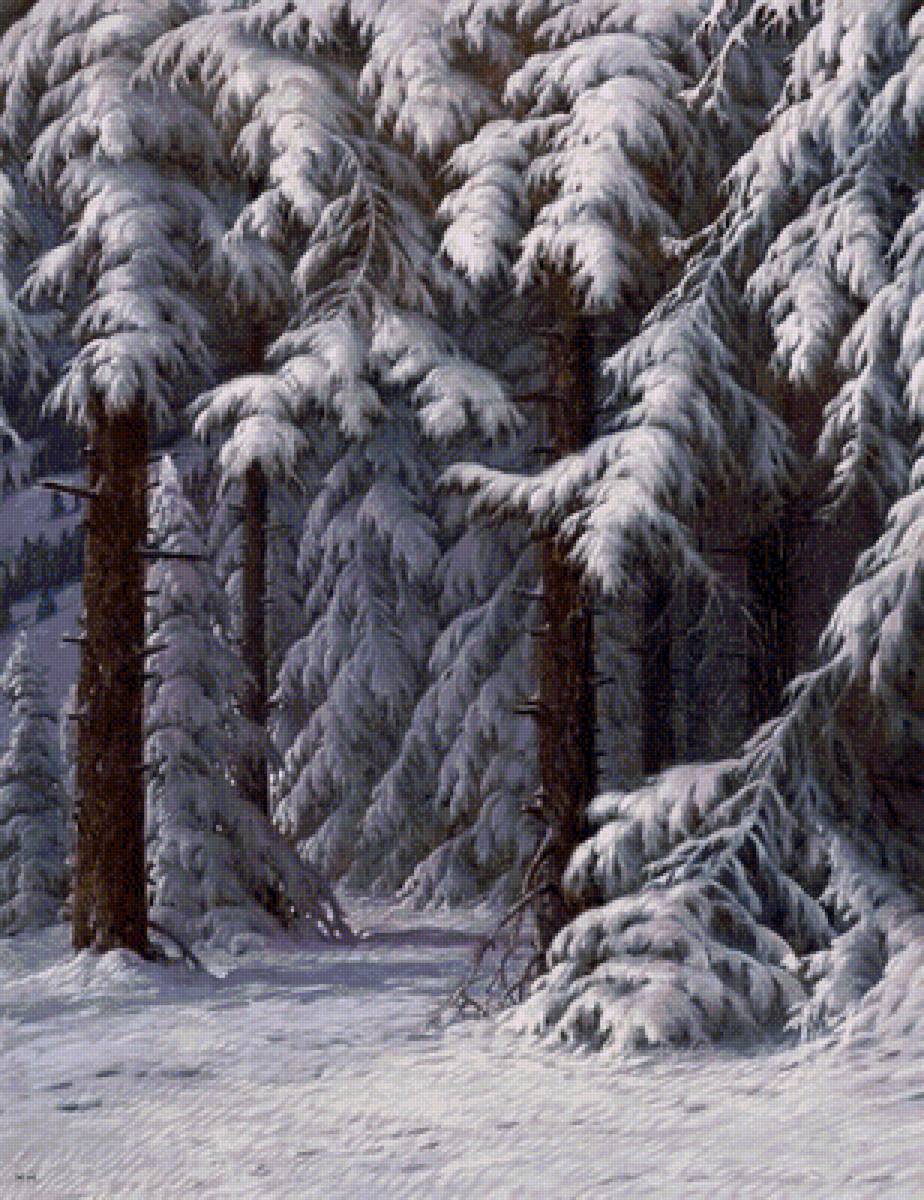 Зимний лес - зима, лес, деревья - предпросмотр