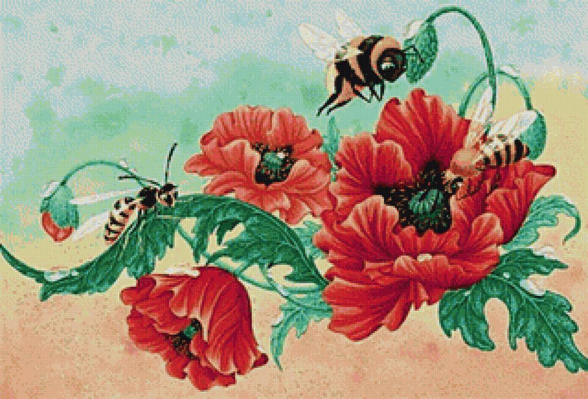 пчелы - предпросмотр