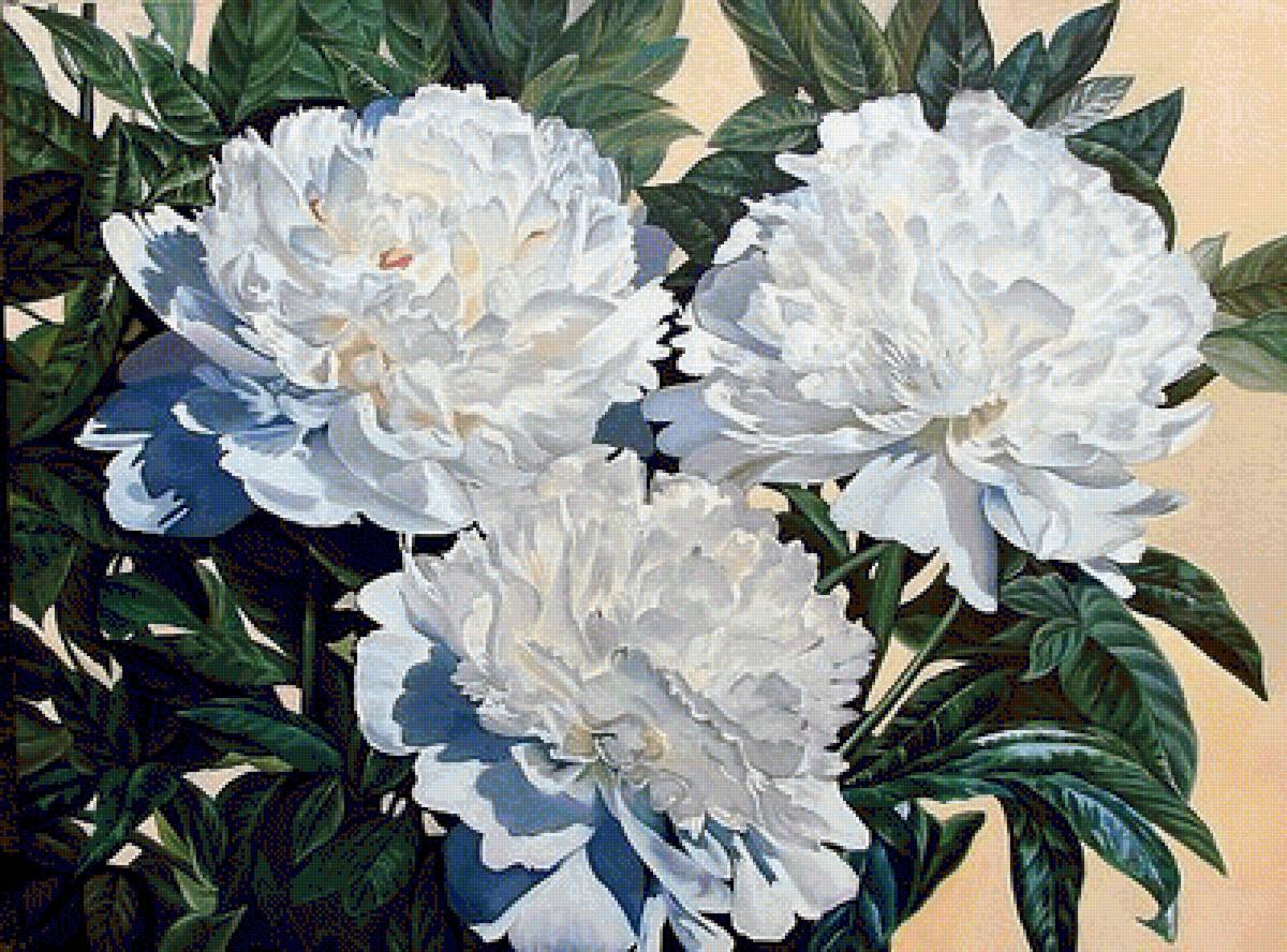 №1490266 - предпросмотр