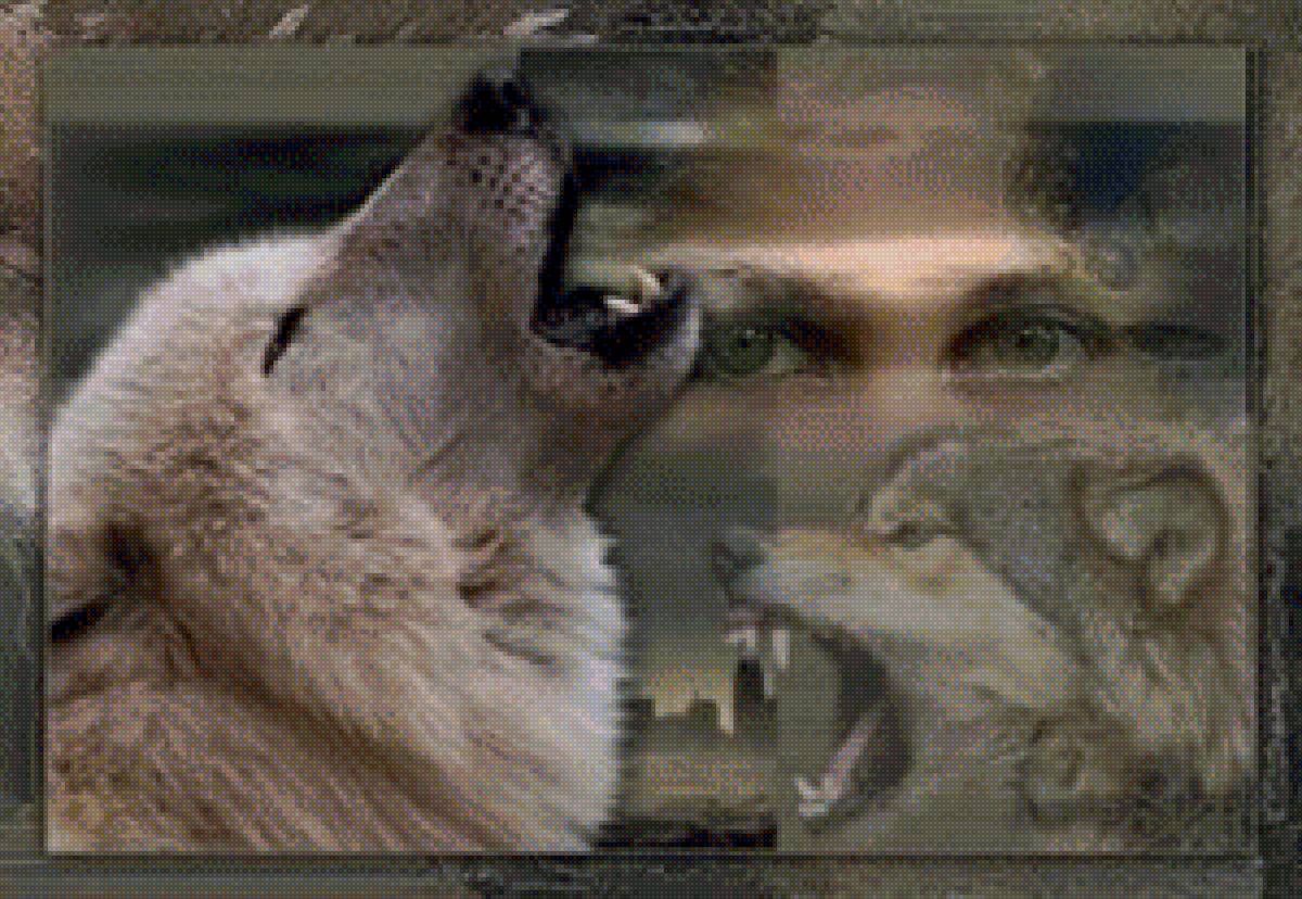 Волки1 - предпросмотр