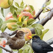 Схема вышивки «Птицы на яблоне»