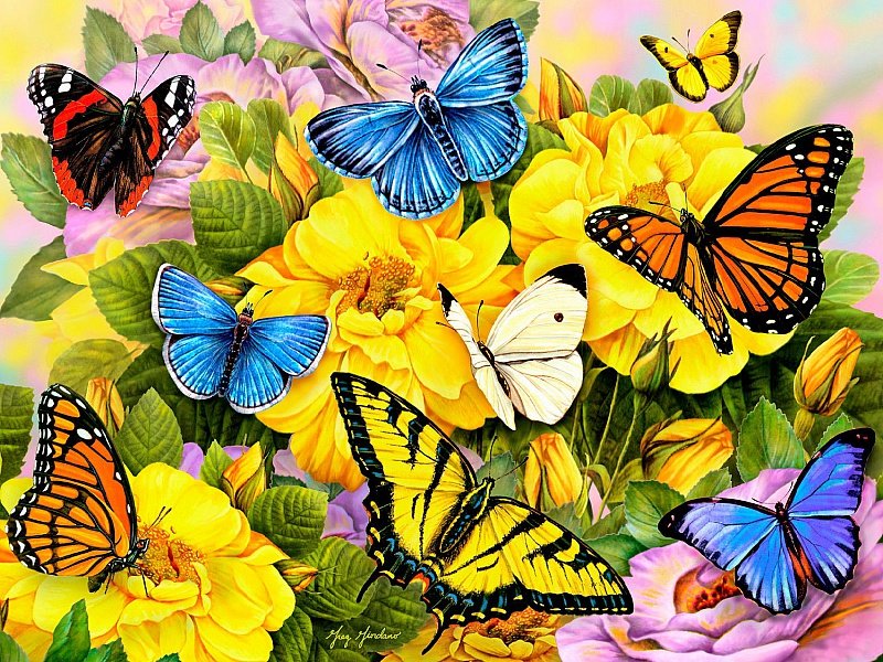 Бабочки - оригинал