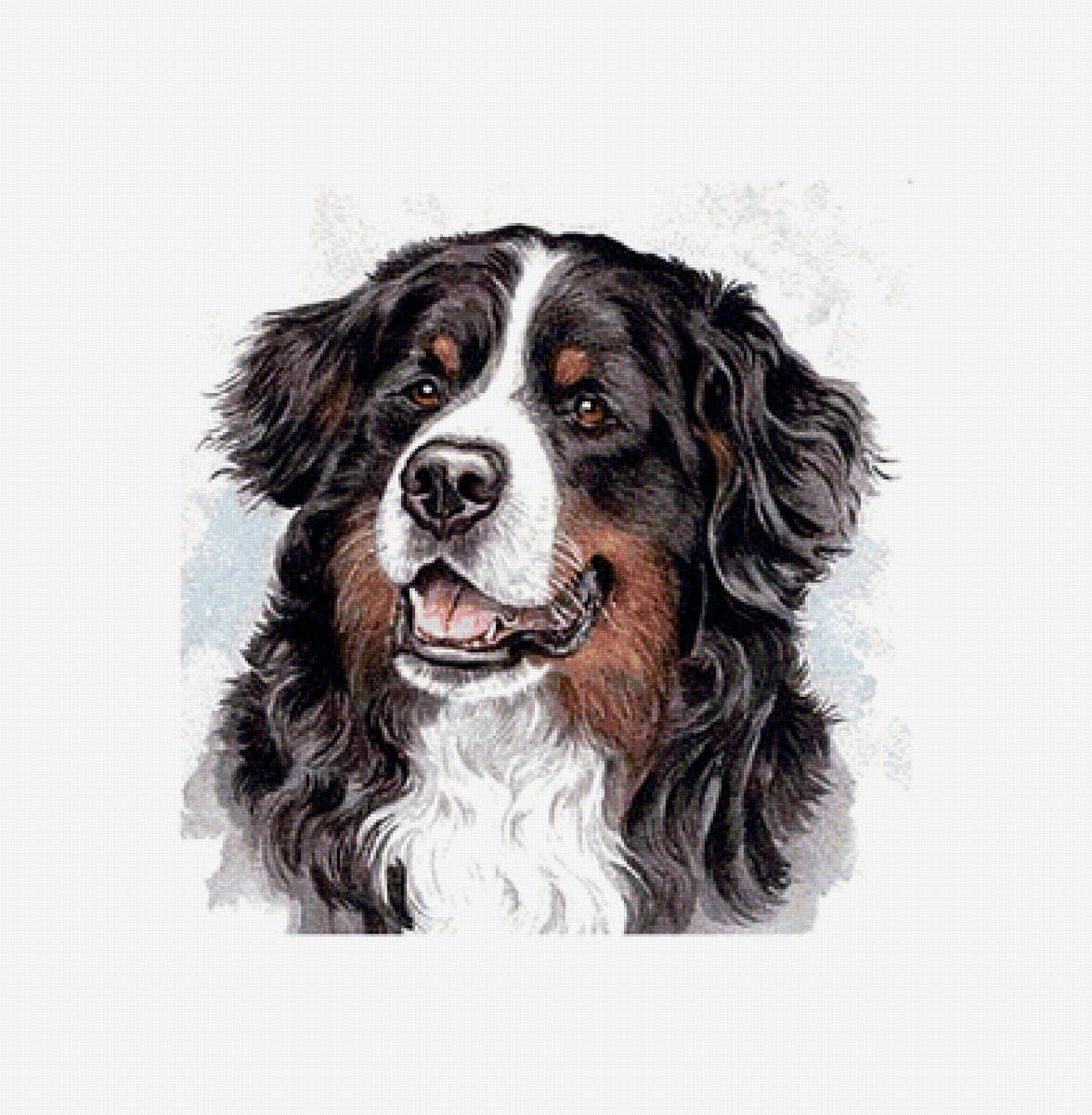 Берн - предпросмотр