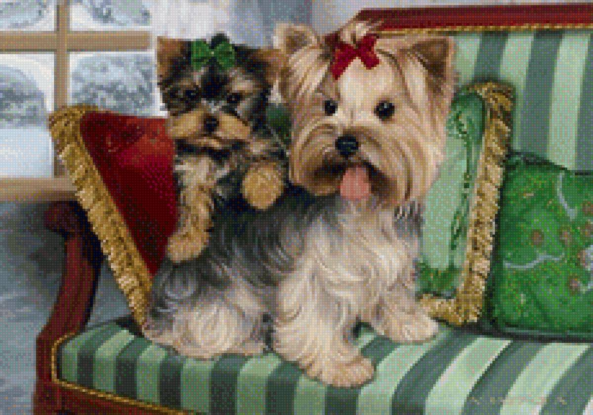 собаки - предпросмотр