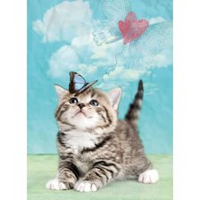 Схема вышивки «котенок»