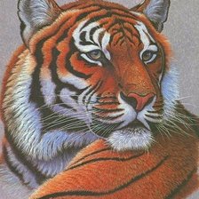 Оригинал схемы вышивки «Тигр» (№1491300)