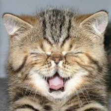 Схема вышивки «котенок»