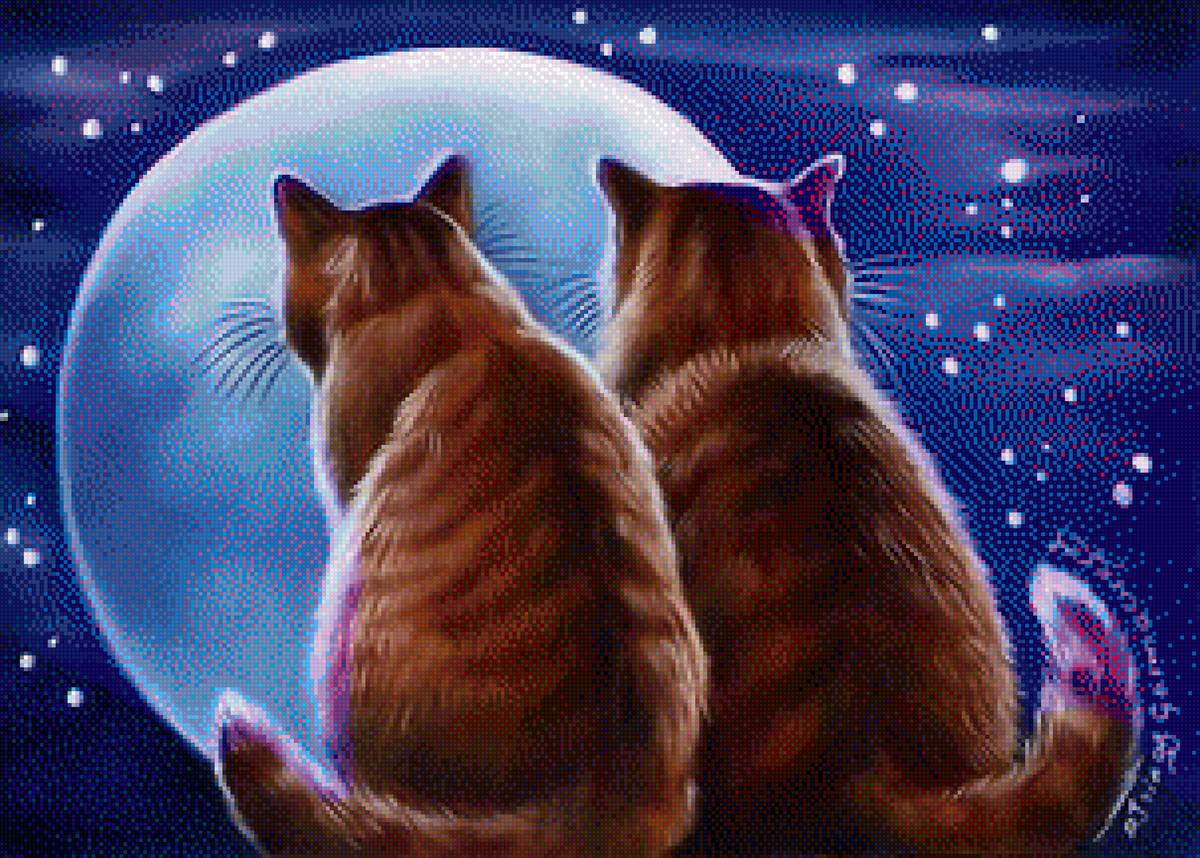 кошки - предпросмотр