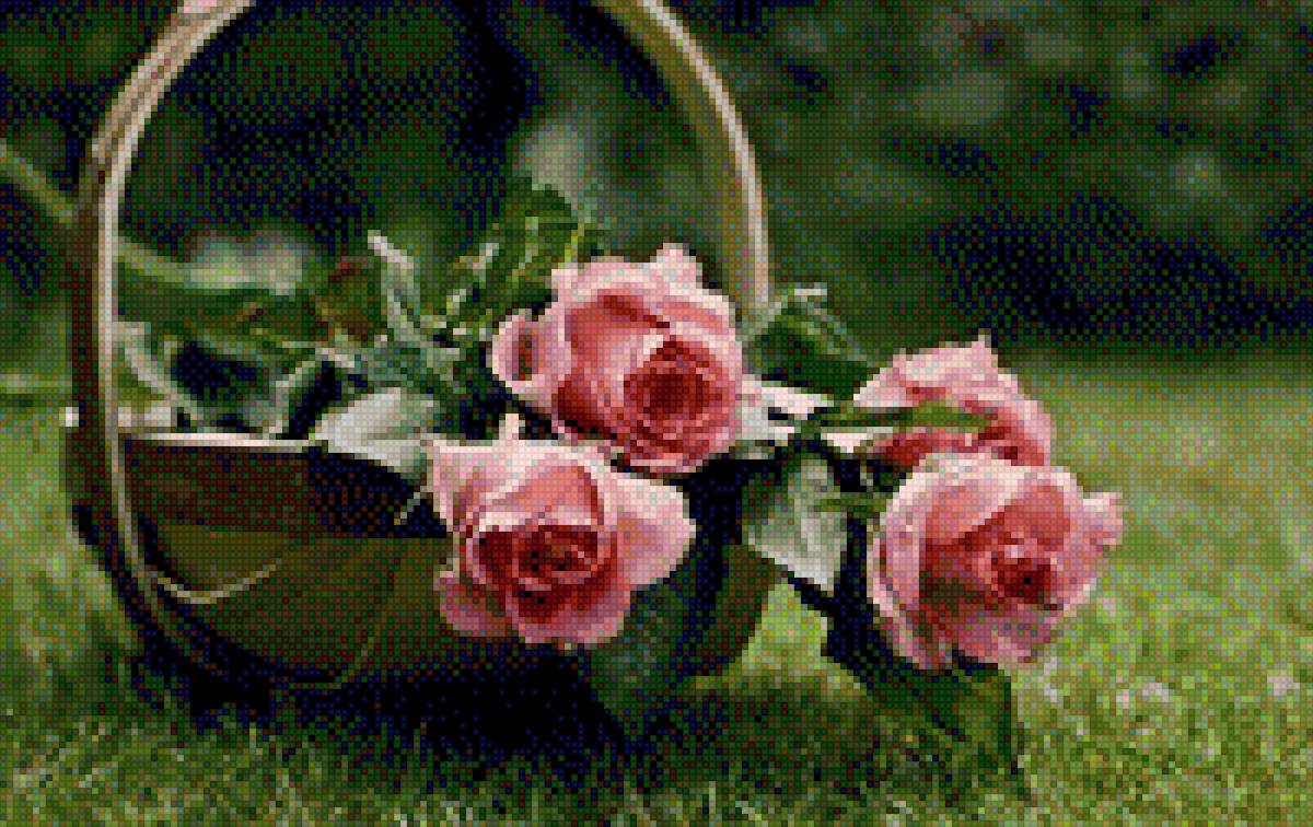 розы - букет, розы, цветы - предпросмотр