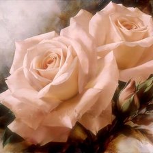 Схема вышивки «розы»