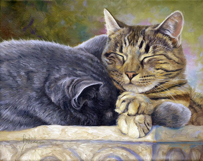 Кошка - кошка животные - оригинал