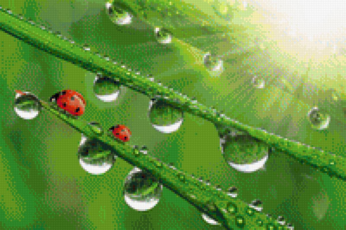 капли - предпросмотр