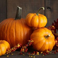 Оригинал схемы вышивки «№1493517»