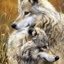 Схема вышивки «волки»