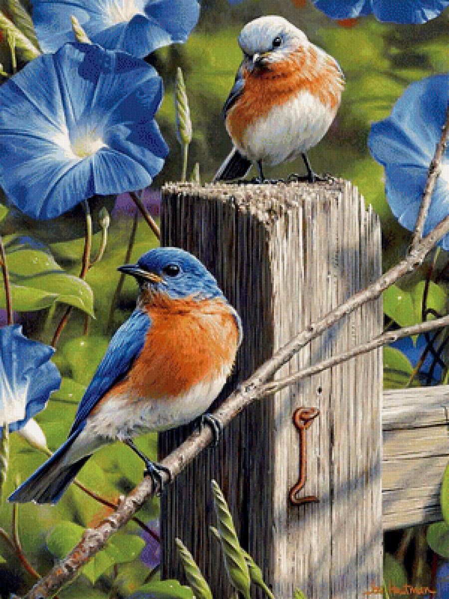 Две птицы - птицы, голубые цветы - предпросмотр