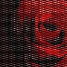 Схема вышивки «Роза красная»