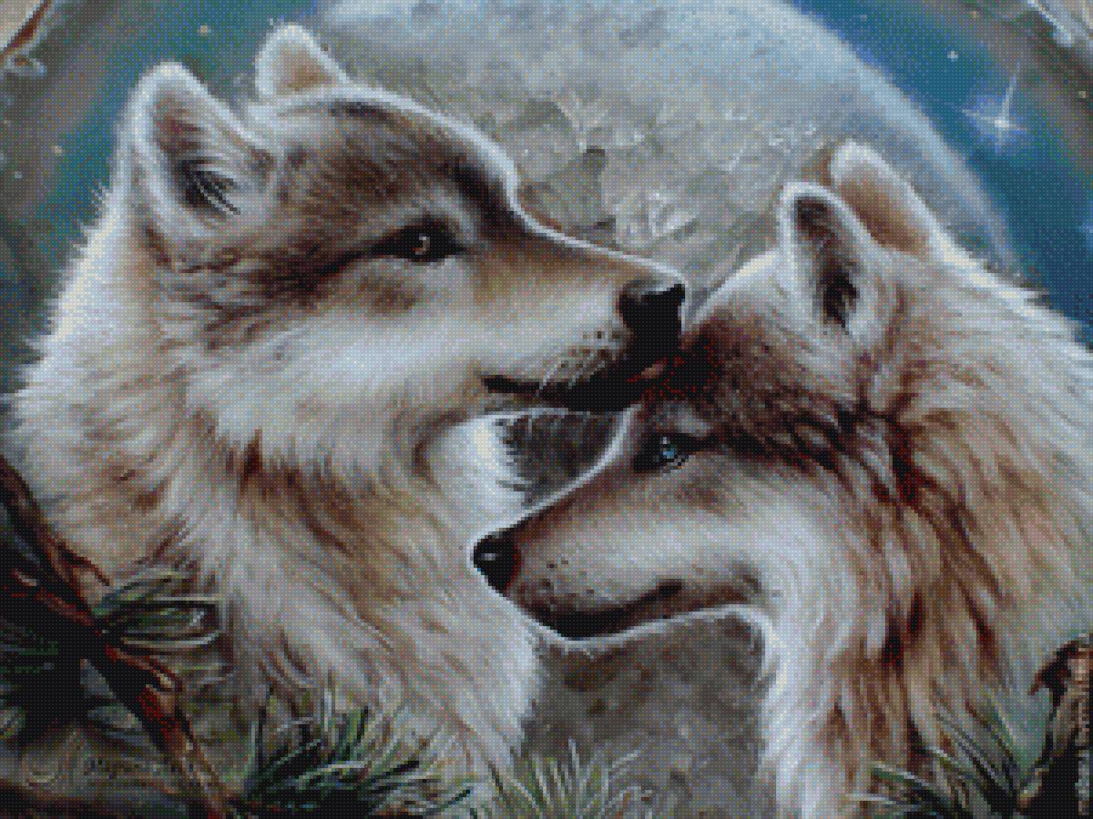 Пара волков - волки, животные, любовь - предпросмотр