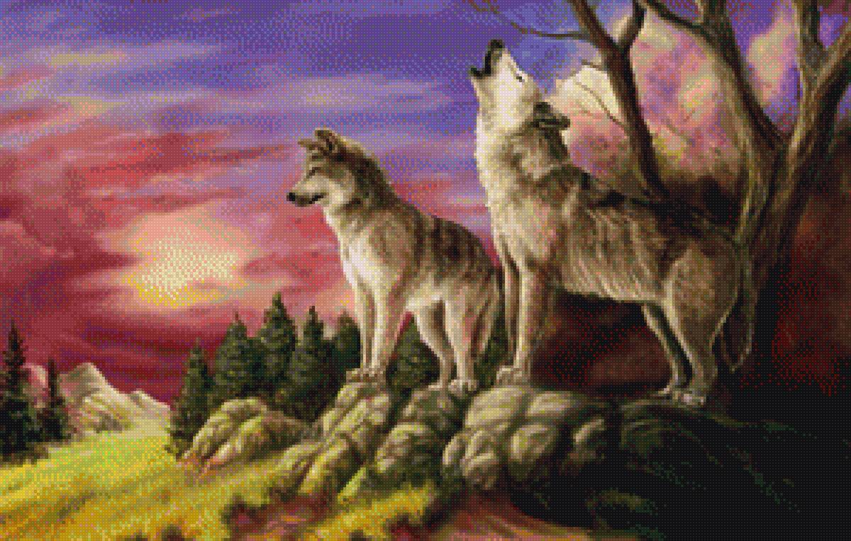 Пара волков - животные, любовь, волки - предпросмотр