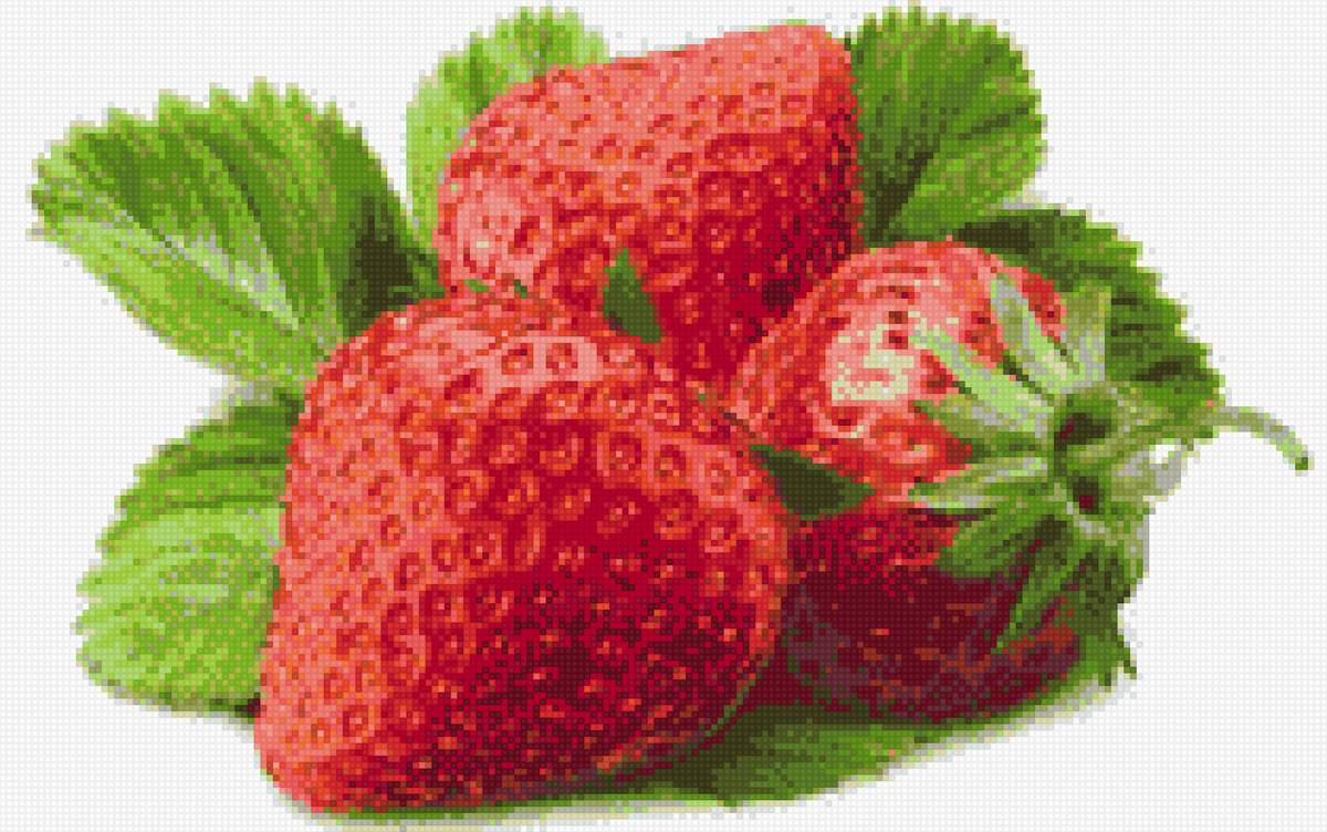 №1494221 - предпросмотр