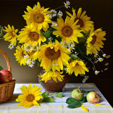 подсолнухи