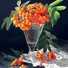 Схема вышивки «№1494264»