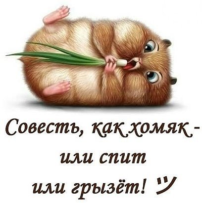 Хомяк - оригинал