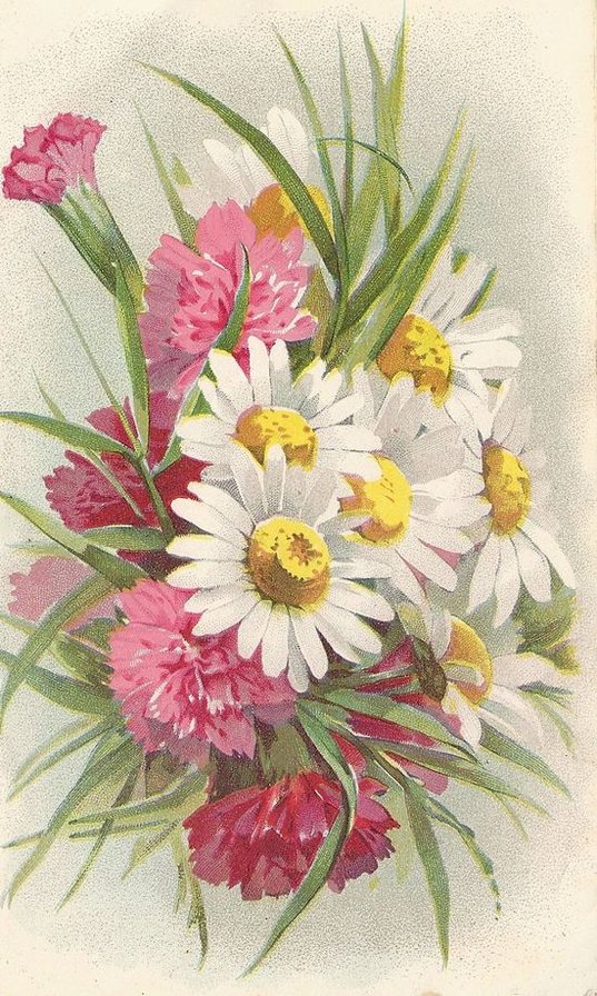Букет - цветы - оригинал