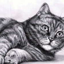 Схема вышивки «Кисуня»