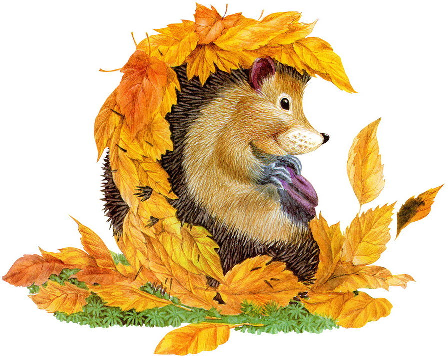 ежик 2 - оригинал