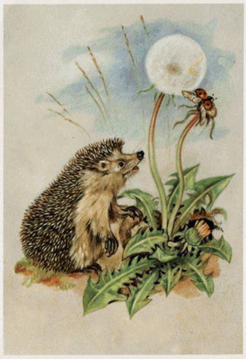 ежик 19 - предпросмотр