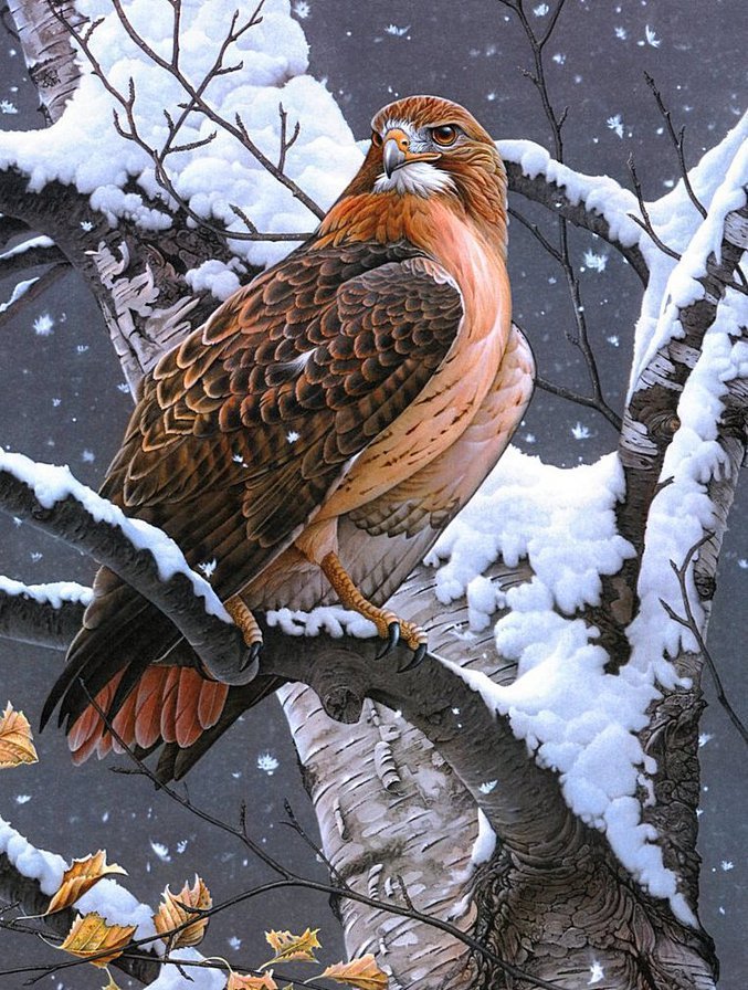 птичка - оригинал