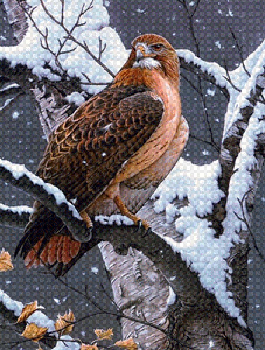 птичка - предпросмотр