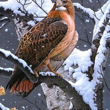 Схема вышивки «птичка»